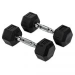 10 LB Rubber Hex Dumbbells