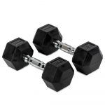 20 LB Rubber Hex Dumbbells
