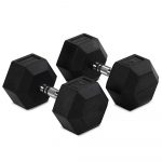 65 LB Rubber Hex Dumbbells